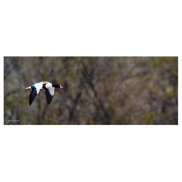 PHOTO84, CLUB, 84 , LUBERON